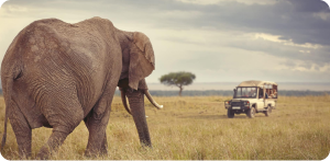 Africa